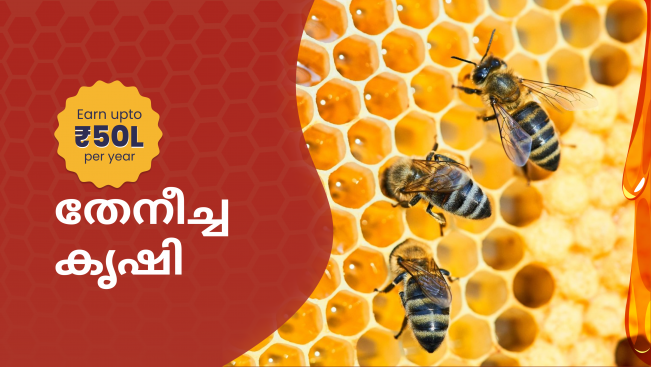 Complete Honey Bee Farming Course in India