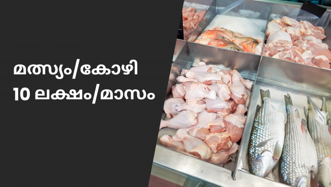 How to start Fish/Chicken Retailing Business in In