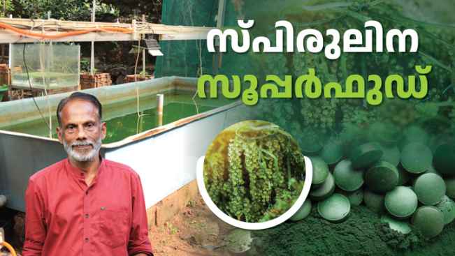 കോഴ്‌സ് ട്രെയിലർ: സ്പിരുലിന കൃഷിയിലൂടെ ലക്ഷങ്ങൾ സമ്പാദിക്കാം. കൂടുതൽ അറിയാൻ കാണുക.