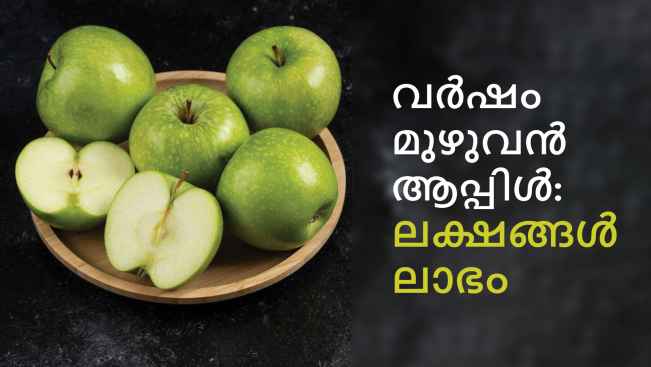 കോഴ്‌സ് ട്രെയിലർ: ഡോർസെറ്റ് ഗോൾഡൻ ആപ്പിൾ ഫാമിംഗ്: ഒരേക്കറിൽ നിന്നും 6 ലക്ഷം സമ്പാദിക്കുക. കൂടുതൽ അറിയാൻ കാണുക.