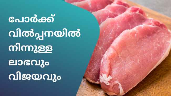 കോഴ്‌സ് ട്രെയിലർ: പോർക്ക് വിൽപ്പന, വിപണനം, കയറ്റുമതി ബിസിനസ്സ്: ലക്ഷങ്ങൾ സമ്പാദിക്കൂ. കൂടുതൽ അറിയാൻ കാണുക.