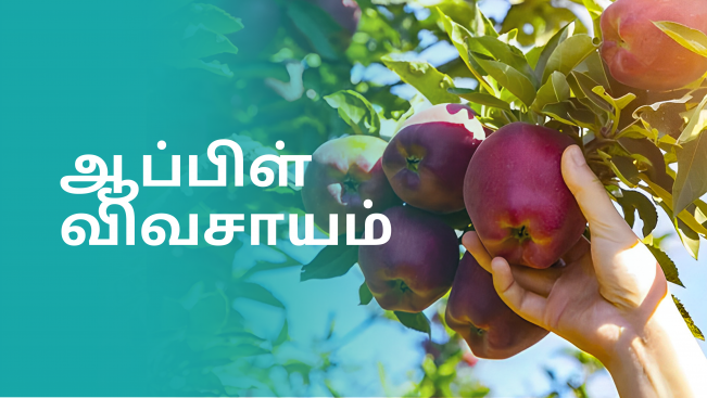 Course Video on Apple Farming