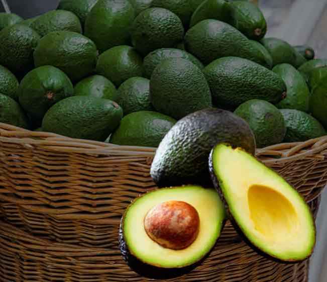 Course Trailer: Avocado Farming- Earn up to 8 Lakh per acre. Watch to know more.