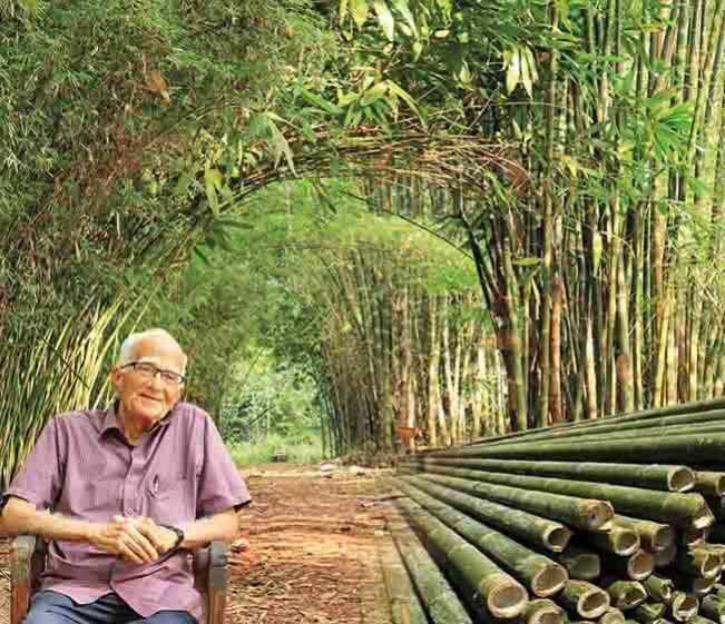 Bamboo farming course video