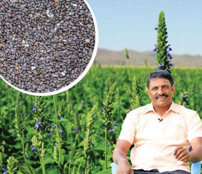 Course Trailer: Chia Farming Course-Earn within 3 Months. Watch to know more.