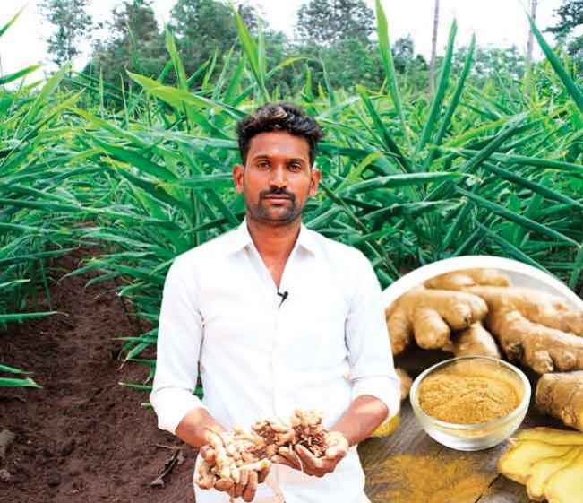 Course Trailer: Ginger Farming Course - Earn up to 4 lakh per acre!. Watch to know more.