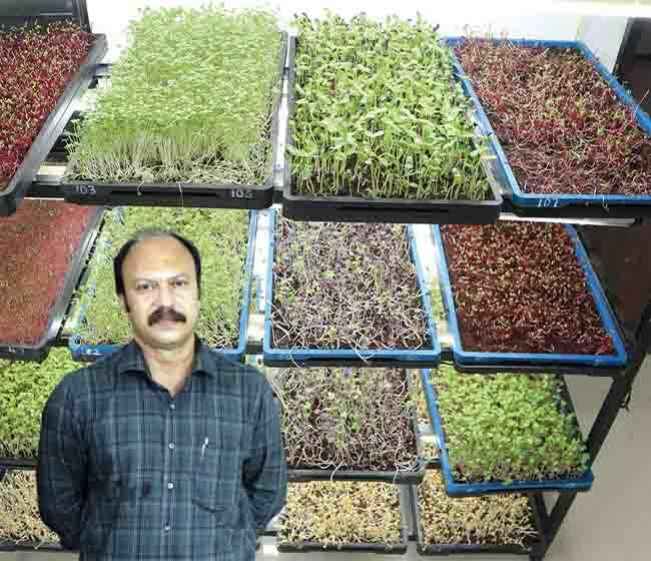 Course Trailer: Microgreen Farming Course- Earn up to Rs 50000 per month. Watch to know more.