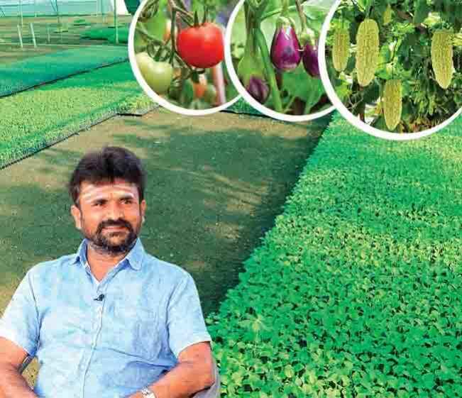 Course Trailer: Mixed Farming with Nursery Business Course – Farming secrets. Watch to know more.