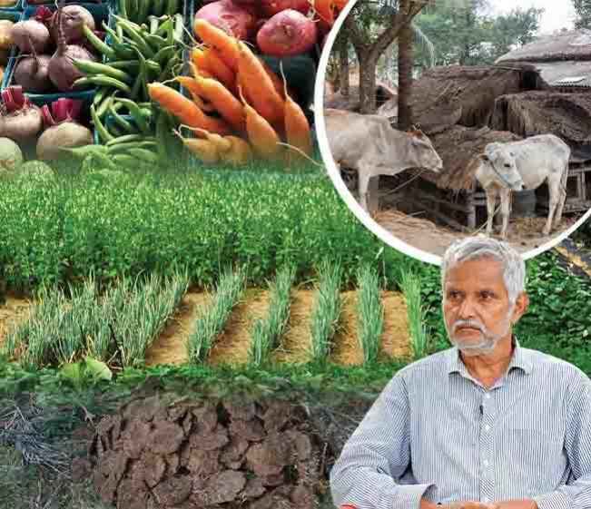Course Trailer: Organic Farming Course – Invest Less Earn More. Watch to know more.