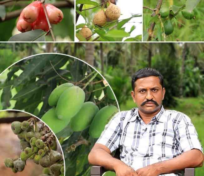 Course on Seasonal fruit farming