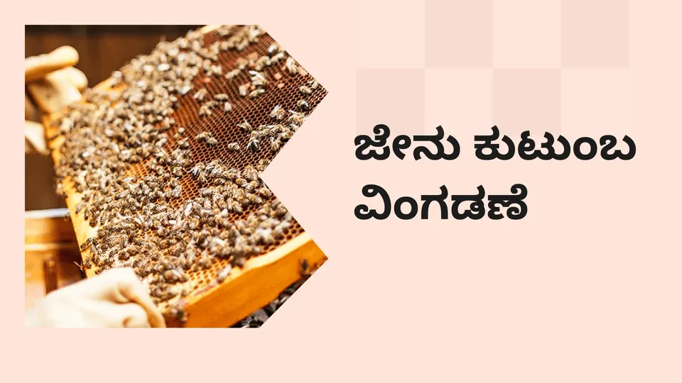 Practical Guide to Honey Bee Family Separation & M