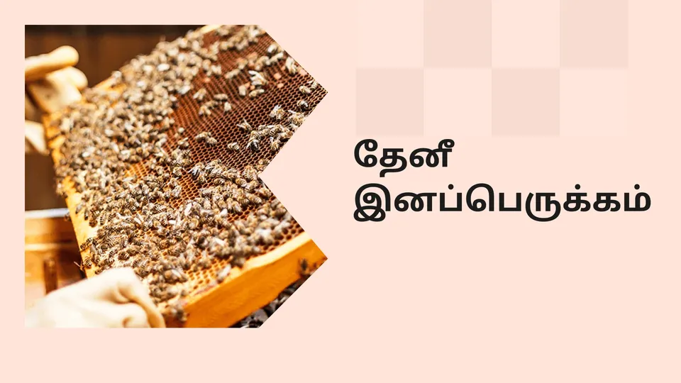 கோர்ஸ் டிரெய்லர்: தேனீ வளர்ப்பில் இனப்பெருக்கம். மேலும் தெரிந்து கொள்ள பார்க்கவும்.