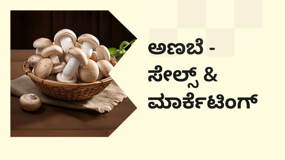 Sales & Marketing Strategies for Mushroom Farmers 