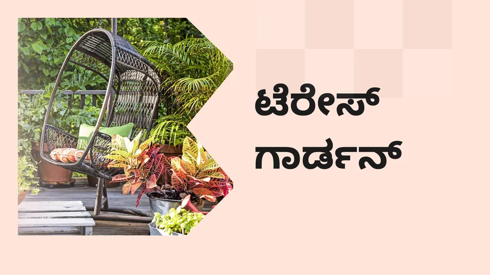 How to start Terrace Garden Business In India?