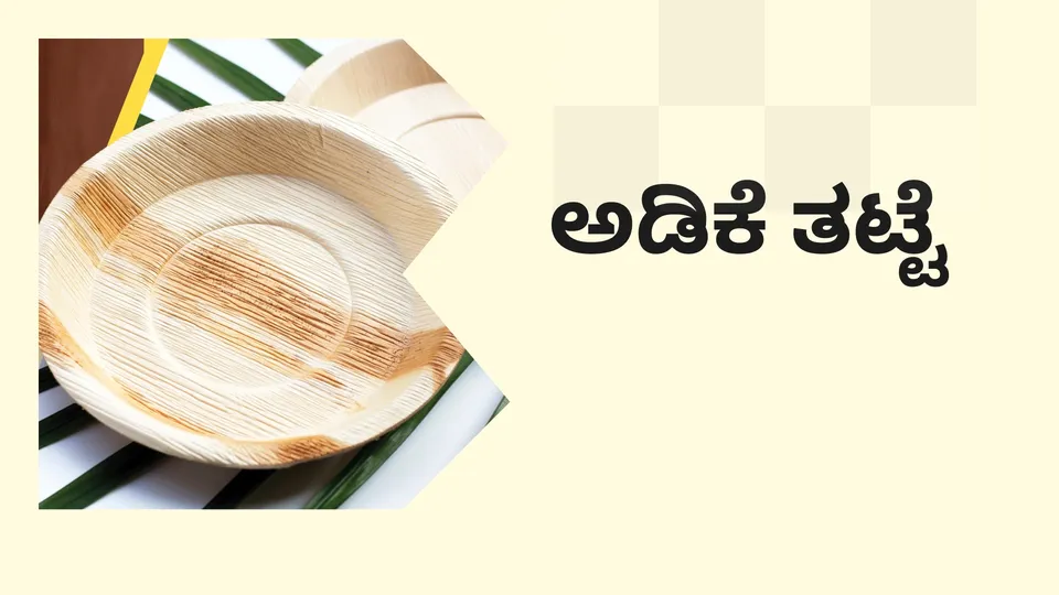 How To Start a Areca Plates Manufacturing in India