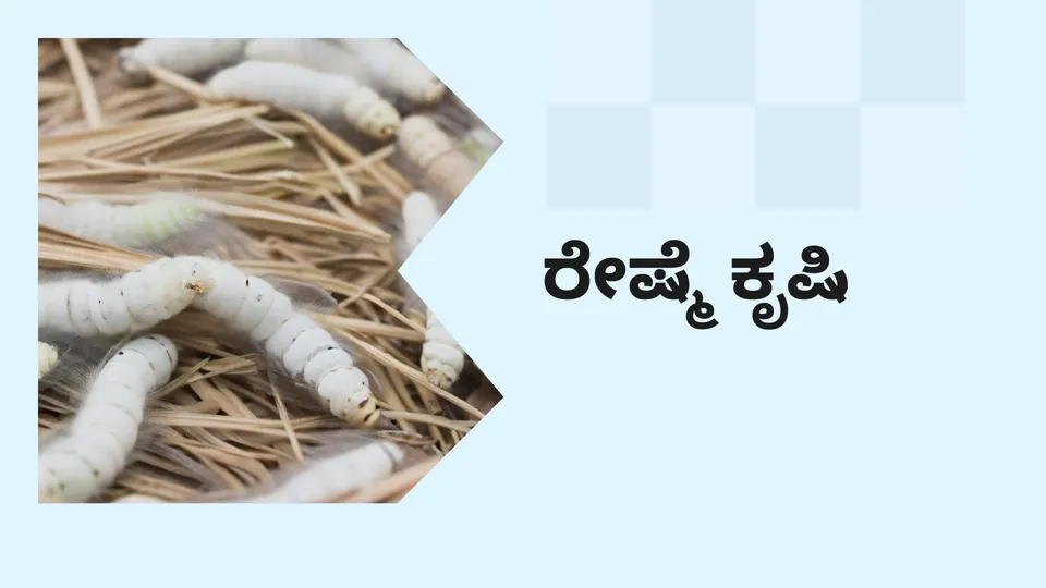 Course On Sericulture Farming