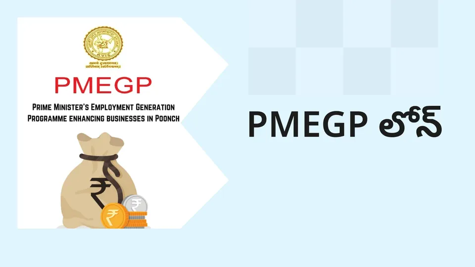 PMEGP Loan Scheme Video