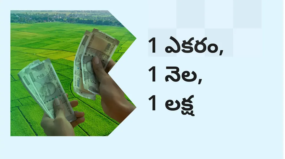 How to earn 1 lakhs in 1 month from Agri-land