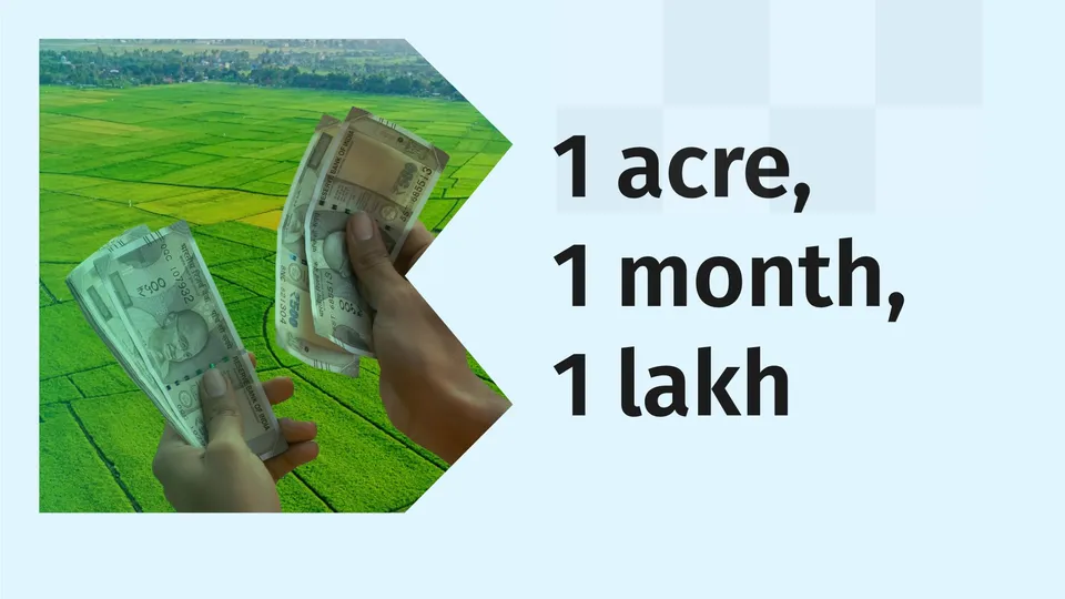 How to earn 1 lakhs in 1 month from Agri-land