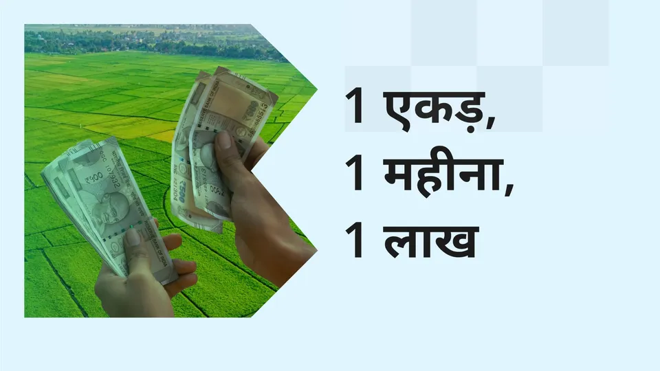 How to earn 1 lakhs in 1 month from Agri-land