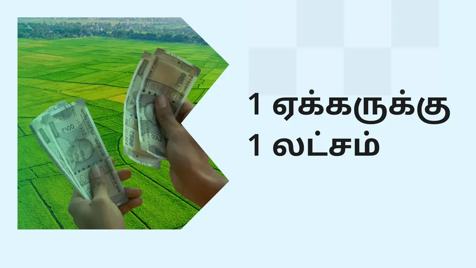 How to earn 1 lakhs in 1 month from Agri-land