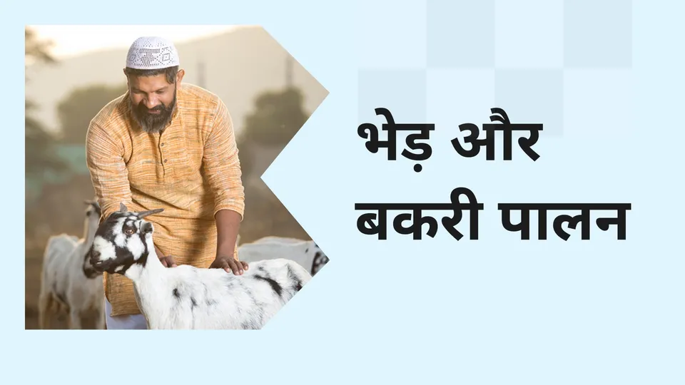 Best Sheep & Goat Farming Course Online