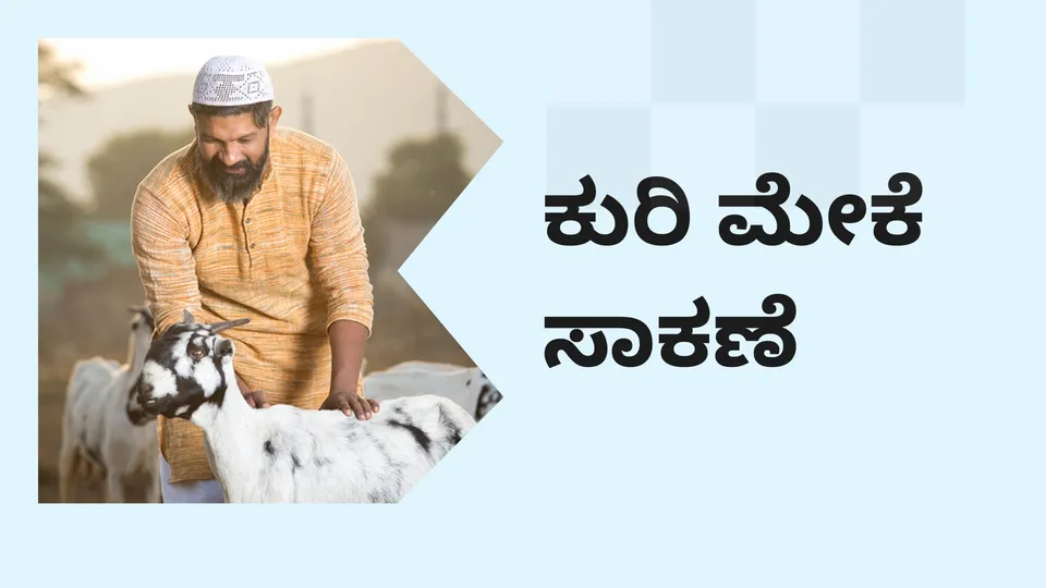 Best Sheep & Goat Farming Course Online