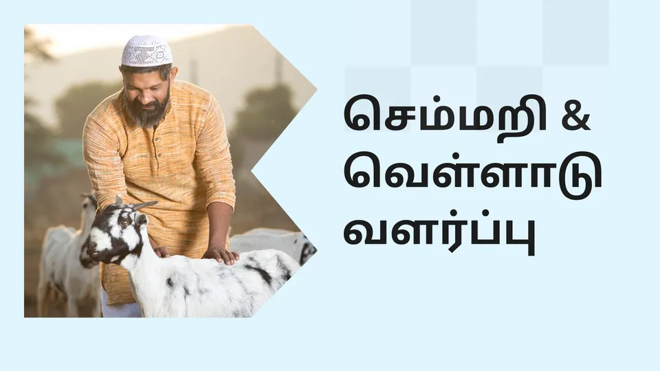 Best Sheep & Goat Farming Course Online