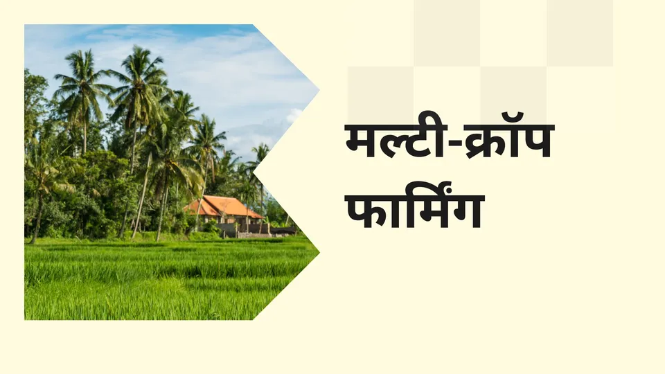 कोर्स ट्रेलर: मल्टी-क्रॉप फार्मिंग कोर्स। अधिक जानने के लिए देखें।