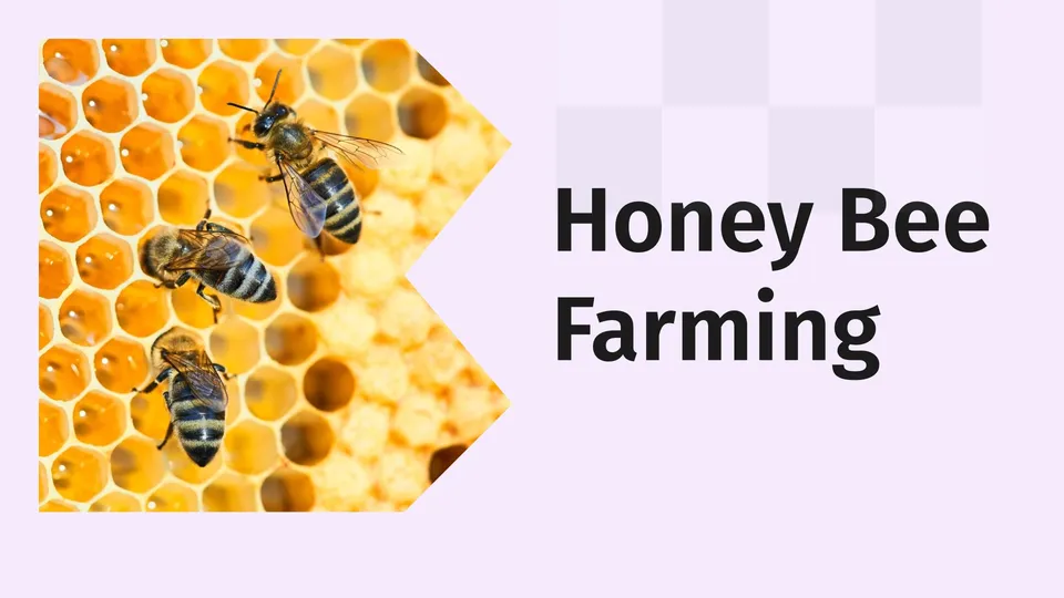 Course Trailer: Honey Bee Farming Course - Earn Over 50 Lakh Per Year. Watch to know more.