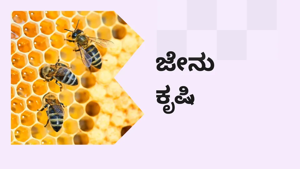 ಕೋರ್ಸ್ ಟ್ರೈಲರ್: ಜೇನು ಸಾಕಣೆ ಕೋರ್ಸ್. ಇನ್ನಷ್ಟು ತಿಳಿಯಲು ವೀಕ್ಷಿಸಿ.