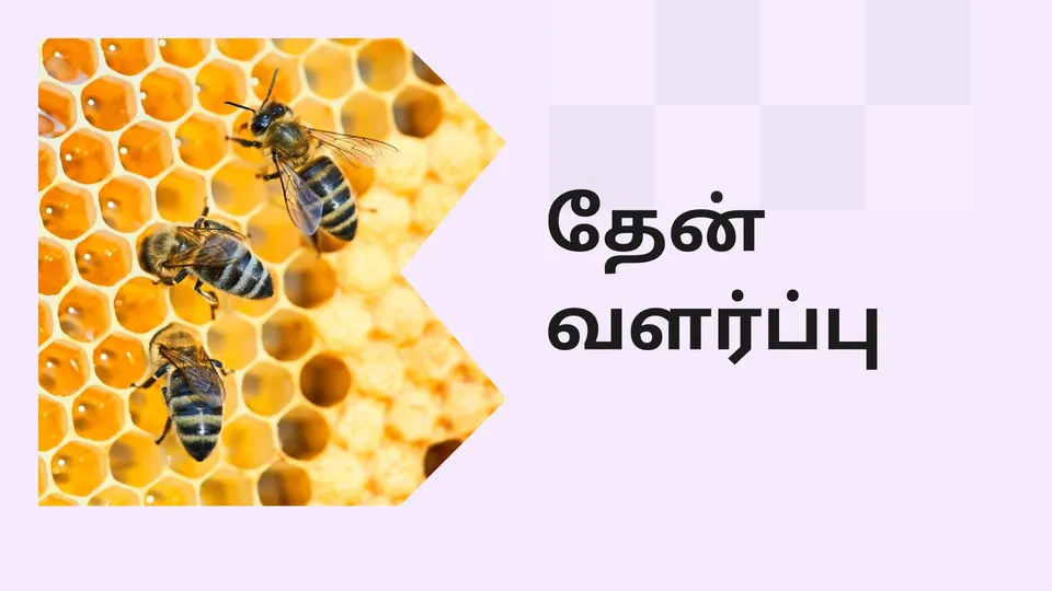 Complete Honey Bee Farming Course in India