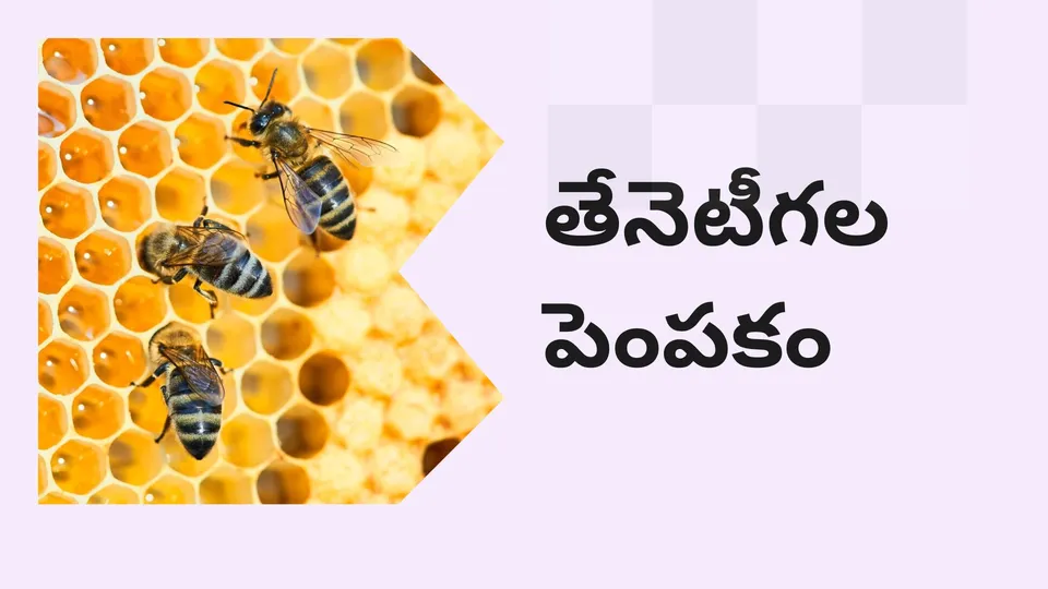 Complete Honey Bee Farming Course in India