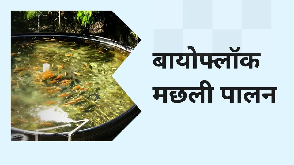Bio Floc Fish Farming Course Video