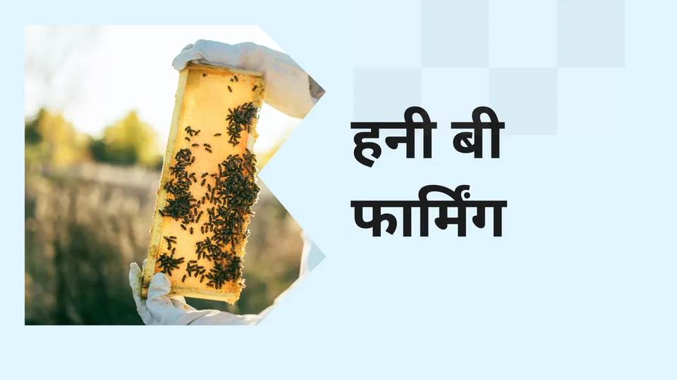 Honey bee farming course video