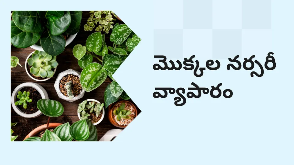 కోర్సు ట్రైలర్: మరింత తెలుసుకోవడానికి ఇప్పుడే ప్లాంట్ నర్సరీ బిజినెస్ కోర్సు చూడండి.