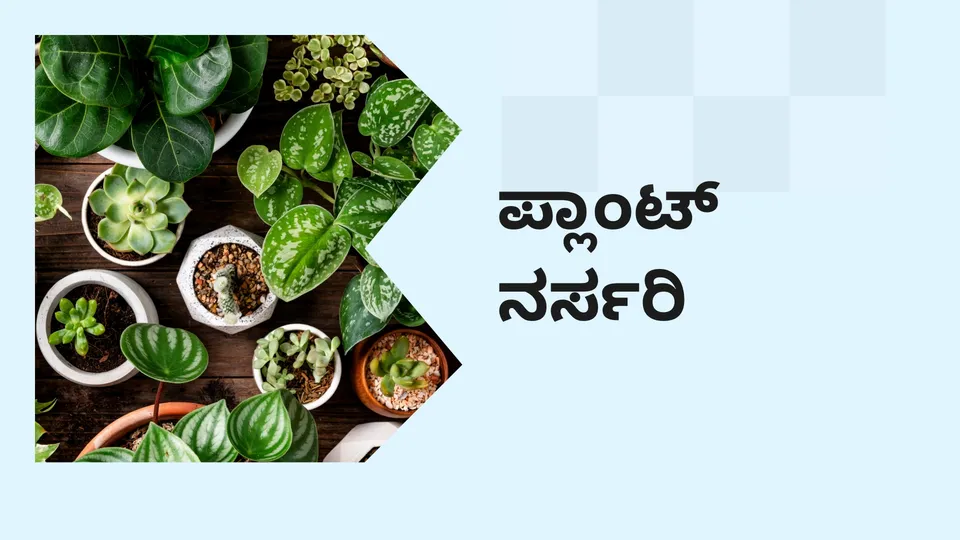 ಕೋರ್ಸ್ ಟ್ರೈಲರ್: ಪ್ಲಾಂಟ್ ನರ್ಸರಿ ಬಿಸಿನೆಸ್ ಕೋರ್ಸ್. ಇನ್ನಷ್ಟು ತಿಳಿಯಲು ವೀಕ್ಷಿಸಿ.