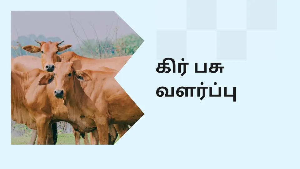 Gir Cow Farming Course Videog