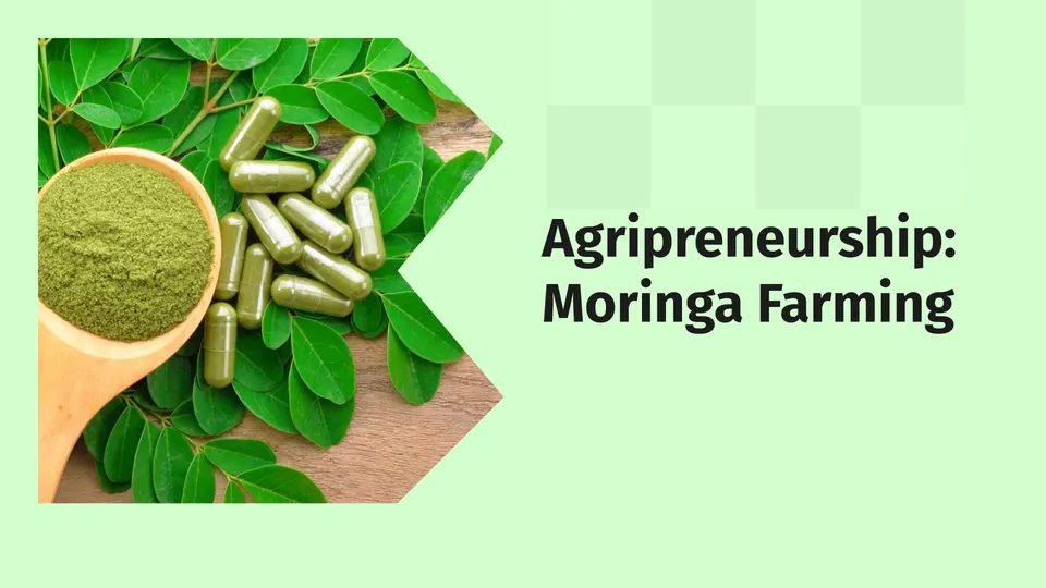 Moringa Super Food Success Story Video