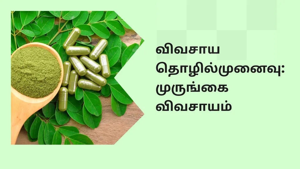Moringa Super Food Success Story Video