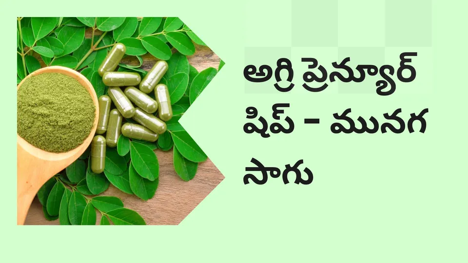 Moringa Super Food Success Story Video