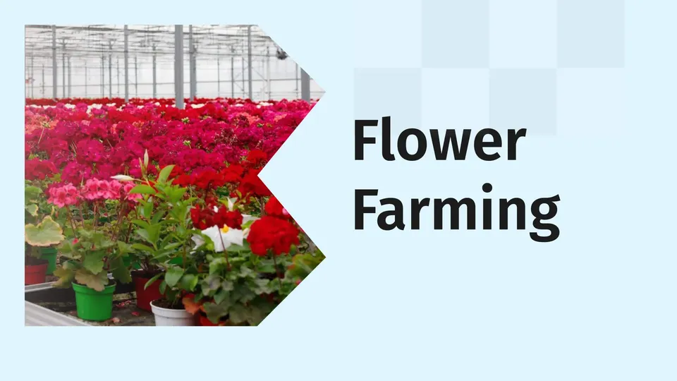 What Is Floriculture?