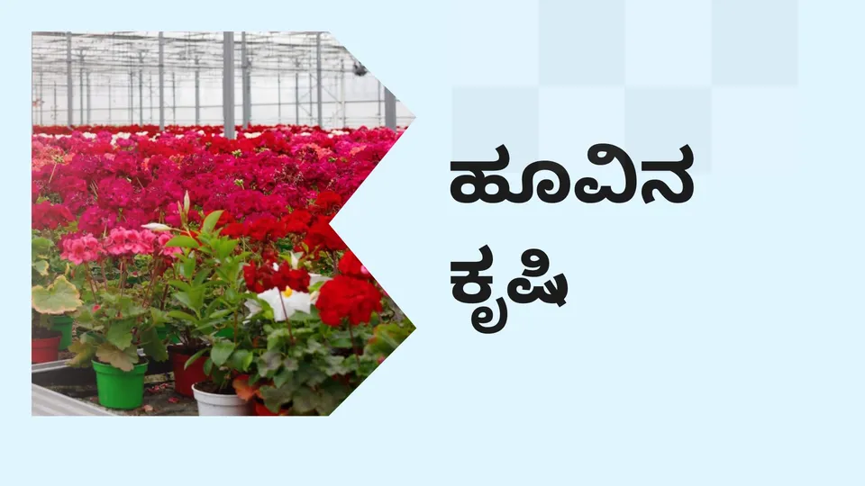 ಕೋರ್ಸ್ ಟ್ರೈಲರ್: ಹೂವಿನ ಕೃಷಿ ಕೋರ್ಸ್. ಇನ್ನಷ್ಟು ತಿಳಿಯಲು ವೀಕ್ಷಿಸಿ.