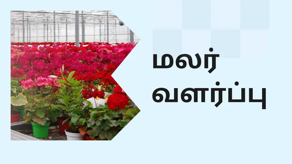What Is Floriculture?