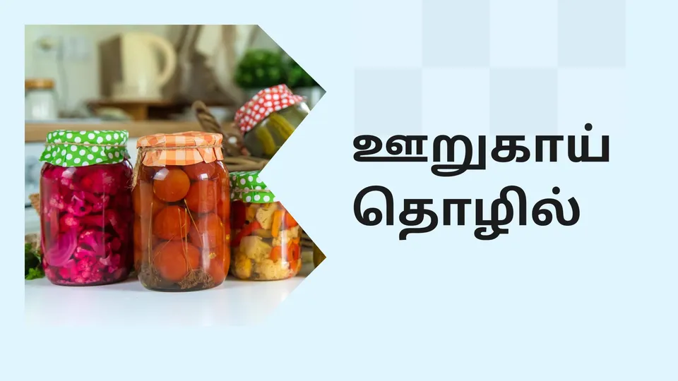 How To Start A Pickle Business In India?