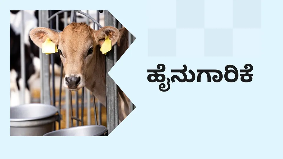 Dairy Farming Course Online