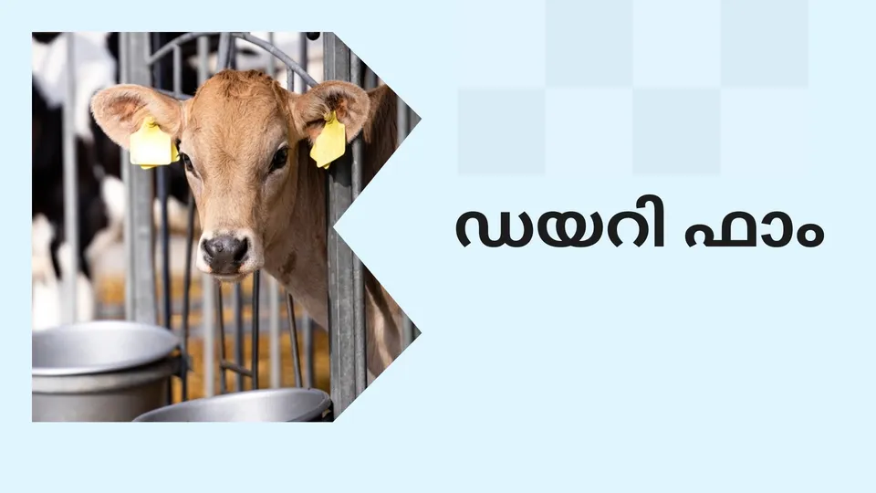 Dairy Farming Course Online