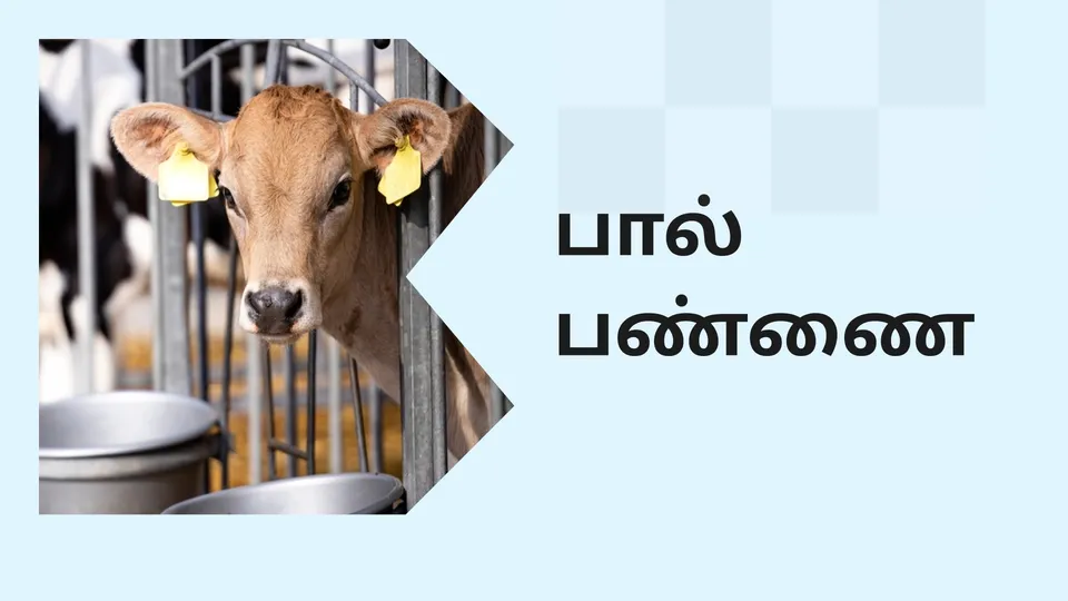 Dairy Farming Course Online