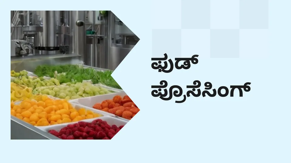 Food Processing Business Video