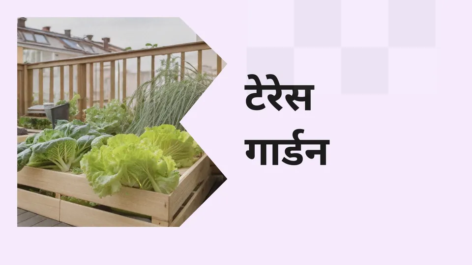 Terrace Gardening Course Video